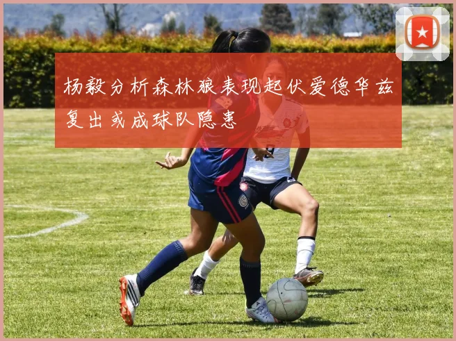 杨毅分析森林狼表现起伏爱德华兹复出或成球队隐患