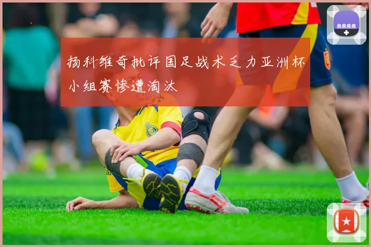 扬科维奇批评国足战术乏力亚洲杯小组赛惨遭淘汰
